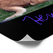 Vilas Zoo Cub Poster (Hoek)