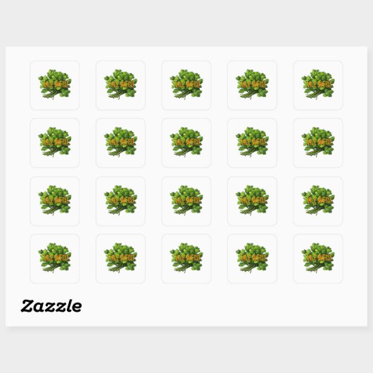 Vile Weed - grappige anti-koriander Vierkante Sticker (Vel)