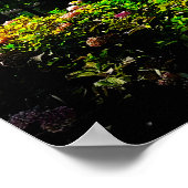 Villa Bernasconi Cernobbio Lake Como Italië Poster (Hoek)