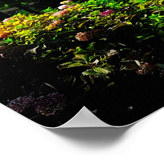 Villa Bernasconi Cernobbio Lake Como Italië Poster (Hoek)