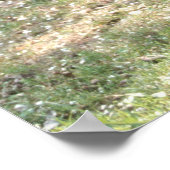 Villa Bertramka-Mozart-Prague Poster (Hoek)