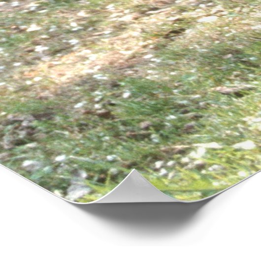 Villa Bertramka-Mozart-Prague Poster (Hoek)