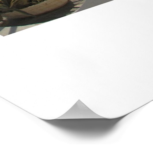 Villa-deur in Santorini Poster (Hoek)