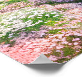 Villa in volste bloom poster (Hoek)