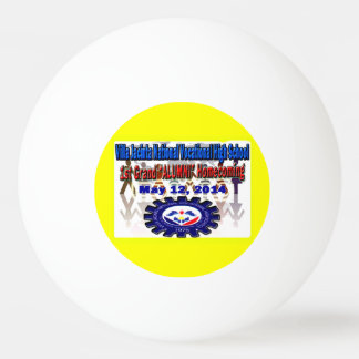 Villa Jacinta 2014 Reünie Pingpongbal