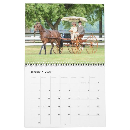 Villa Louis Carriage Classic 2015 Calendar Kalender (Jan 2027)