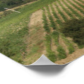 Villa St. Andrea', Chianti Classico Poster (Hoek)