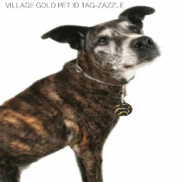 Village Gold Huisdierpenning