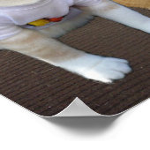 Village Katten Poster (Hoek)