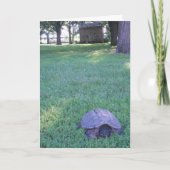 Village Snapping Turtle Verjaardag Kaart (Voorkant)
