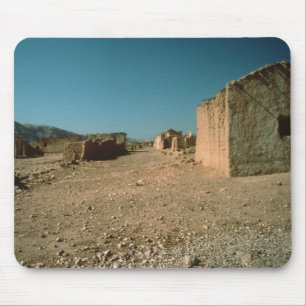 Village Street met Houses Muismat
