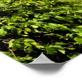 VILLAGES VAN WALES POSTER (Hoek)