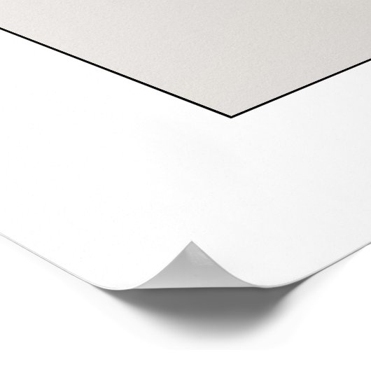 Villarceau-cirkels Poster (Hoek)