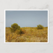 Villarreal (Spanje) Briefkaart (Voorkant)