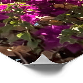 Villefranche Sur Mer Poster (Hoek)