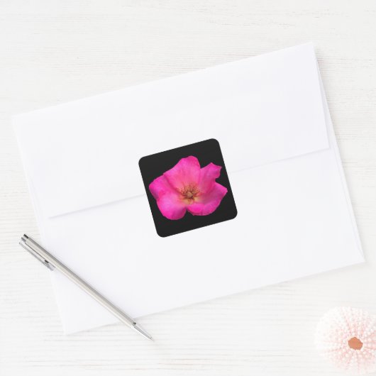 Viltroos Vierkante Sticker (Envelop)