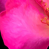 Viltstift Roos Canvas Afdruk