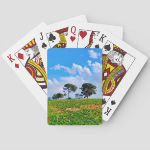 Viña de Los Pinos Pokerkaarten