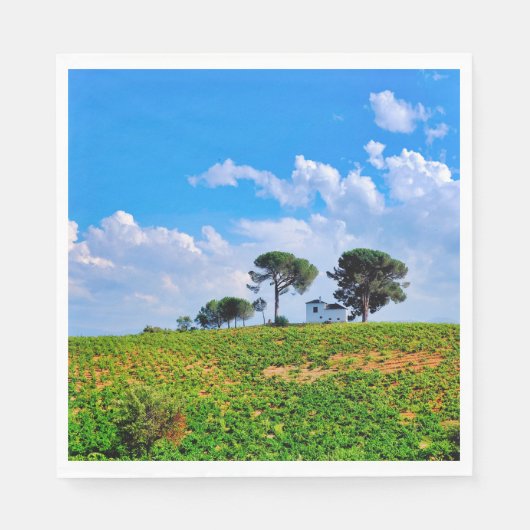 Viña de Los Pinos Servet (Voorkant)