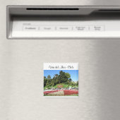 Viña del Mar - Chili Magneet (Insitu (Vaatwasser))