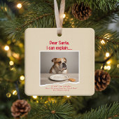 Vinage Funny Dog Pet Photo Christmas Holiday Keramisch Ornament
