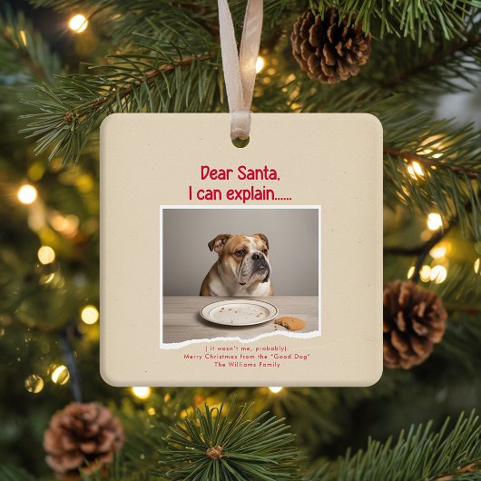 Vinage Funny Dog Pet Photo Christmas Holiday Keramisch Ornament
