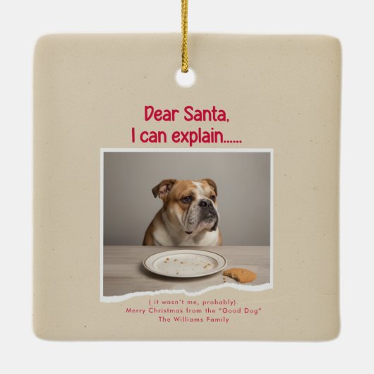 Vinage Funny Dog Pet Photo Christmas Holiday Keramisch Ornament (Achterkant)