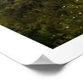 Vinales Poster (Hoek)