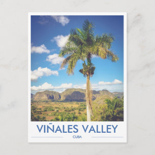 Viñales Vallei Cuba Palmenboom Foto Ansichtkaart Briefkaart