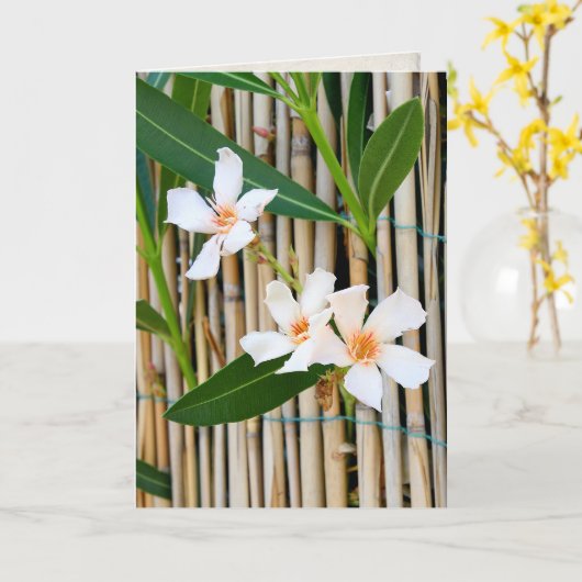 Vinca-bloem op omheining kaart (Gele Bloem)