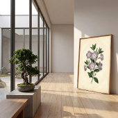 Vinca botanische canvasprint poster