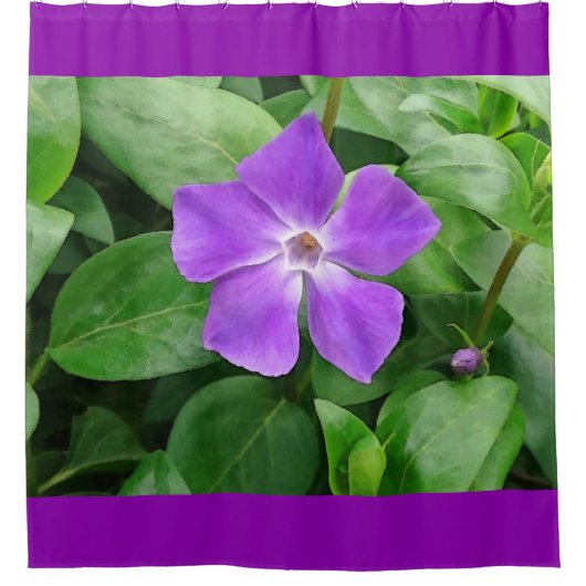 Vinca Major Shower Curtain Douchegordijn (Voorkant)