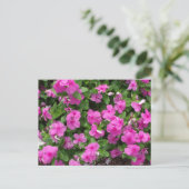 Vinca Titan Flowered Briefkaart (Staand voorkant)