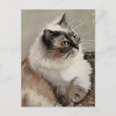 Vincent Cat Gogh Briefkaart (Voorkant)