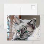 Vincent Cat Gogh Briefkaart (Voorkant / Achterkant)
