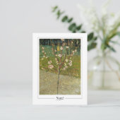 Vincent Van Gogh #14-3 - Fijne Kunst Briefkaart (Staand voorkant)