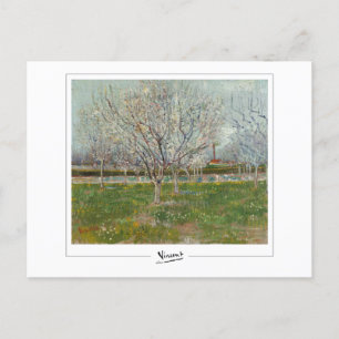 Vincent Van Gogh #20-3 - Fijne Kunst Briefkaart