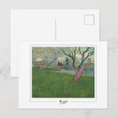 Vincent Van Gogh #24 - Fine Art Briefkaart (Voorkant / Achterkant)