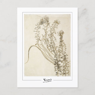 Vincent Van Gogh #356-3 - Fijne Kunst Briefkaart