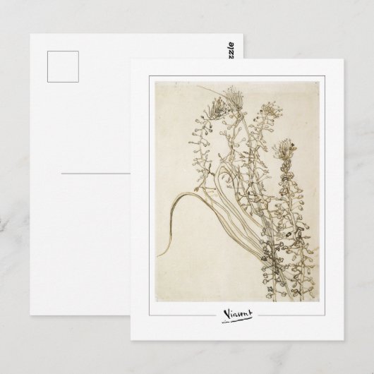 Vincent Van Gogh #356-3 - Fijne Kunst Briefkaart (Voorkant / Achterkant)