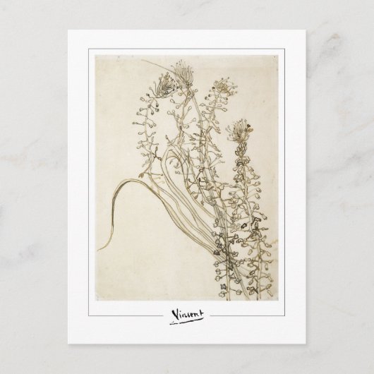 Vincent Van Gogh #356-3 - Fijne Kunst Briefkaart (Voorkant)