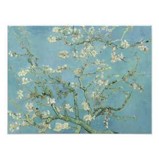 Vincent van Gogh - Almond Blossom Foto Afdruk