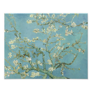 Vincent van Gogh - Almond Blossom Foto Afdruk