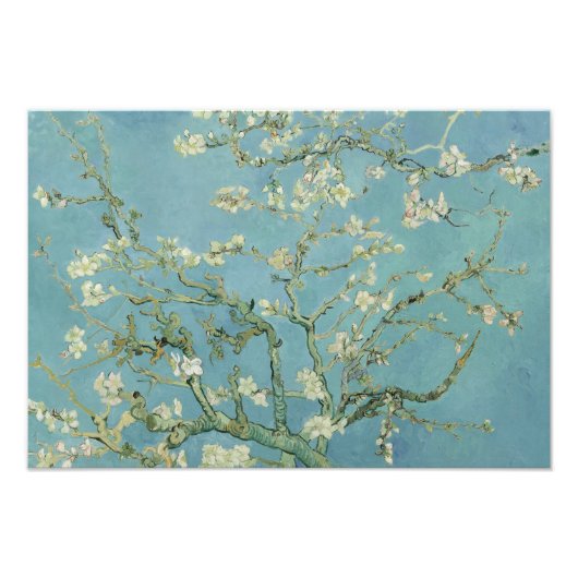 Vincent van Gogh - Almond Blossom Foto Afdruk (Voorkant)