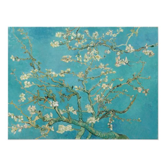 Vincent van Gogh, Amandelbloesem, Amandelbloesem Foto Afdruk (Voorkant)