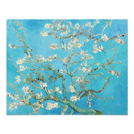 Vincent van Gogh - Amandelbloesem Foto Afdruk (Voorkant)