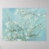 Vincent Van Gogh Amandelbloesem Kunstdruk Poster (Voorkant)