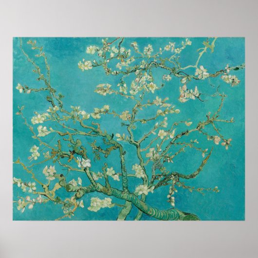 Vincent van Gogh Amandelbloesems Poster (Voorkant)