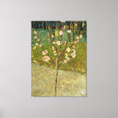 Vincent van Gogh - Amandelboom in bloei Canvas Afdruk (Voorkant)
