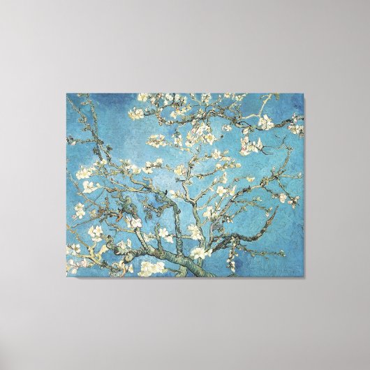 Vincent van Gogh | Amandeltakken in bloom, 1890 Canvas Afdruk (Voorkant)
